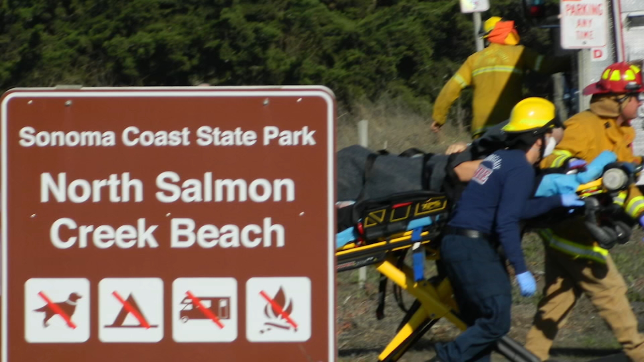 Surfer severely injured in shark attack near Bodega Bay