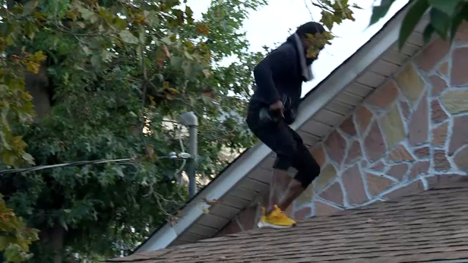 Man in tree: Roody Thomas climbs down Queens tree after spending more ...