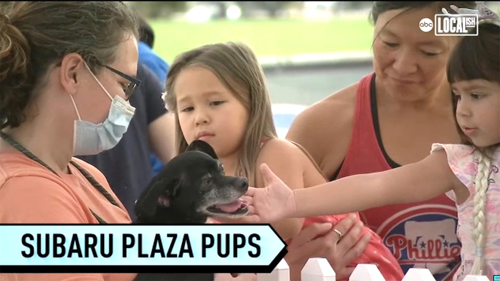 Philadelphia Union and Subaru team up to help dogs find forever homes