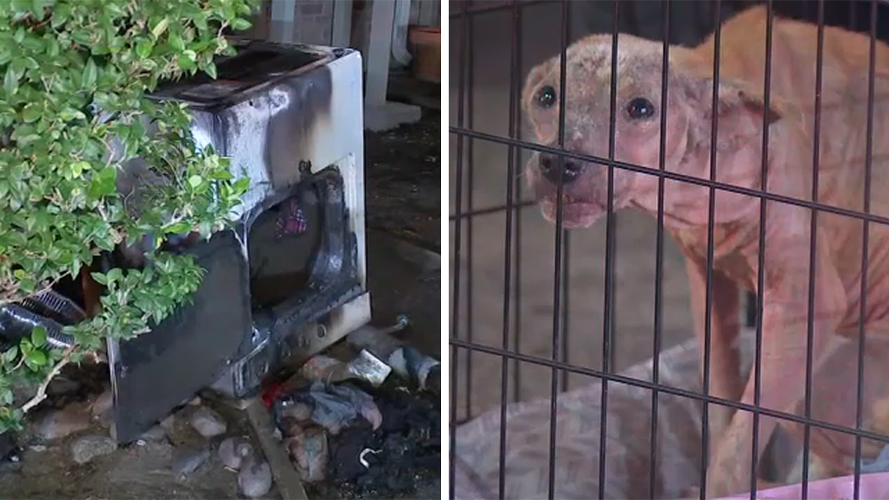 Neighbor rescues 2 dogs from dryer lint apartment fire