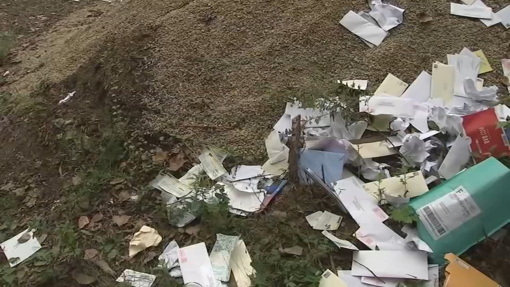 Woman discovers large pile of mail dumped in Philly woods