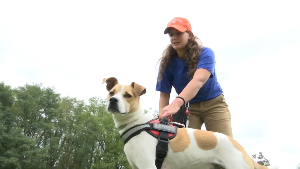 Hero K9s help find missing Chester County, Pa. man
