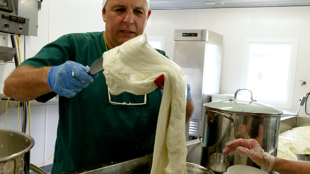 Did you know real mozzarella cheese is made from water buffalo milk?