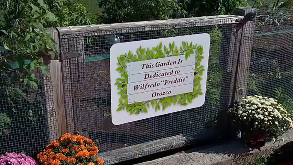 Community garden at NJ hospital renamed after longtime chef