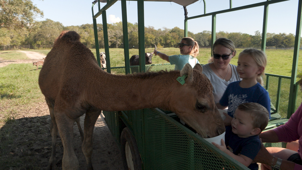 Longtime visitors take over Bayou Wildlife Zoo from original owner
