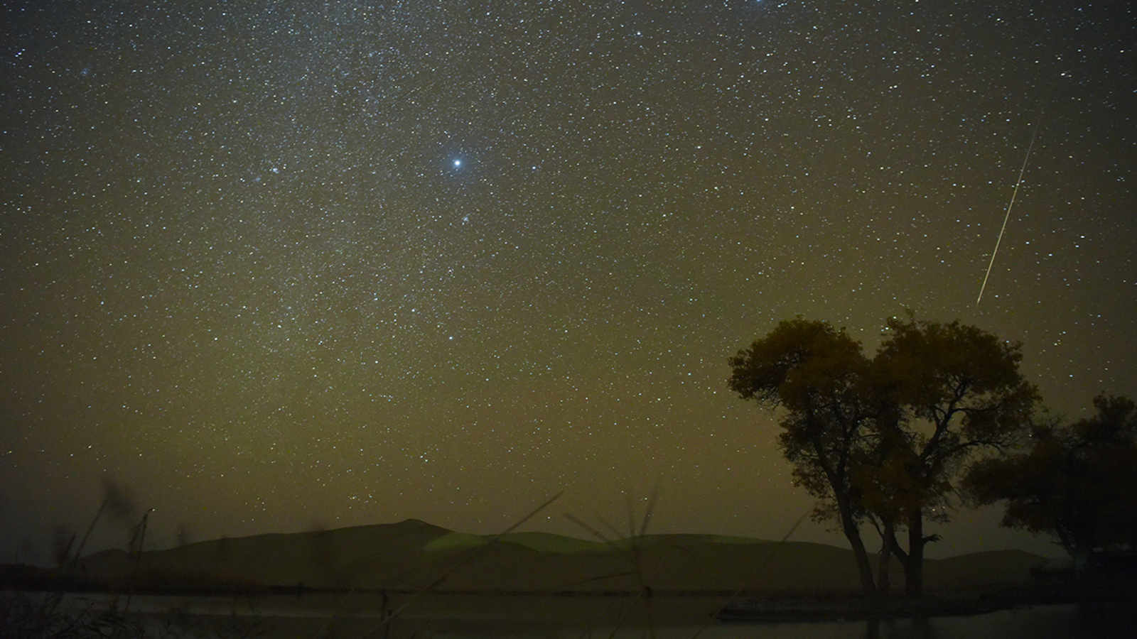 Meteor shower tonight 2021 Orionids compete with full Hunter's Moon