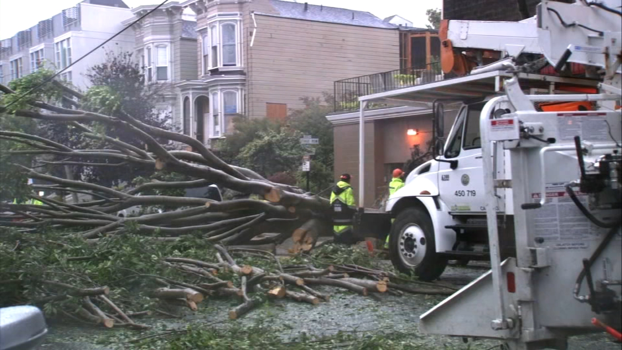 Rain brings down tree, causes flooding in San Francisco