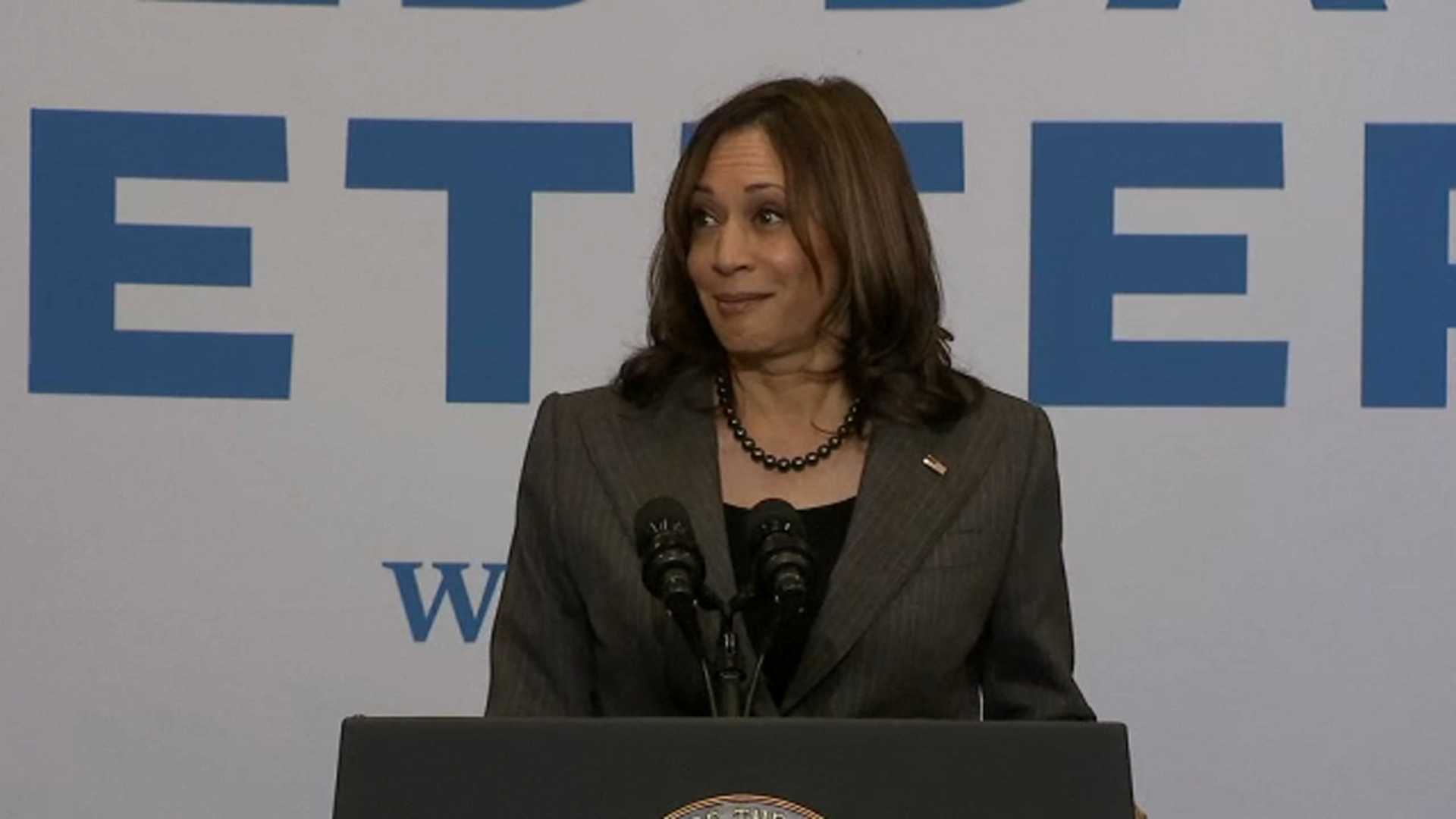 Protester interrupts VP Kamala Harris' visit to the Bronx