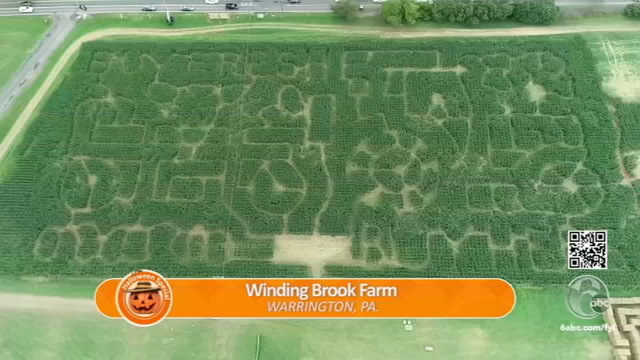 5 must-see Philadelphia Halloween Corn Mazes