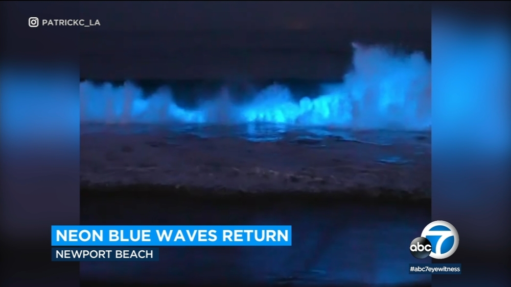 Glowing blue bioluminescent waves return to Newport Beach