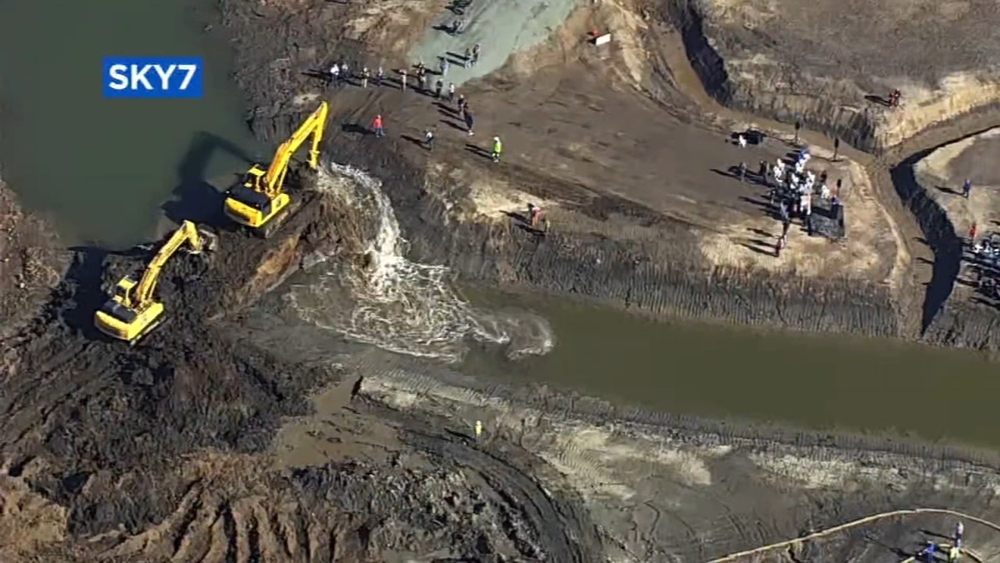 East Bay levee breached after 100 years to bring back wildlife
