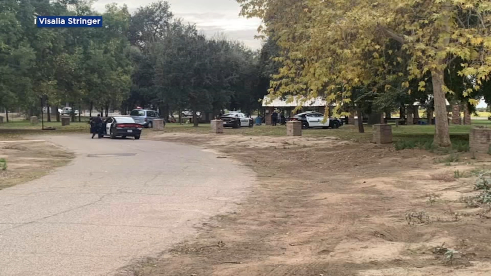 Man in critical condition after being stabbed at Visalia park, police ...