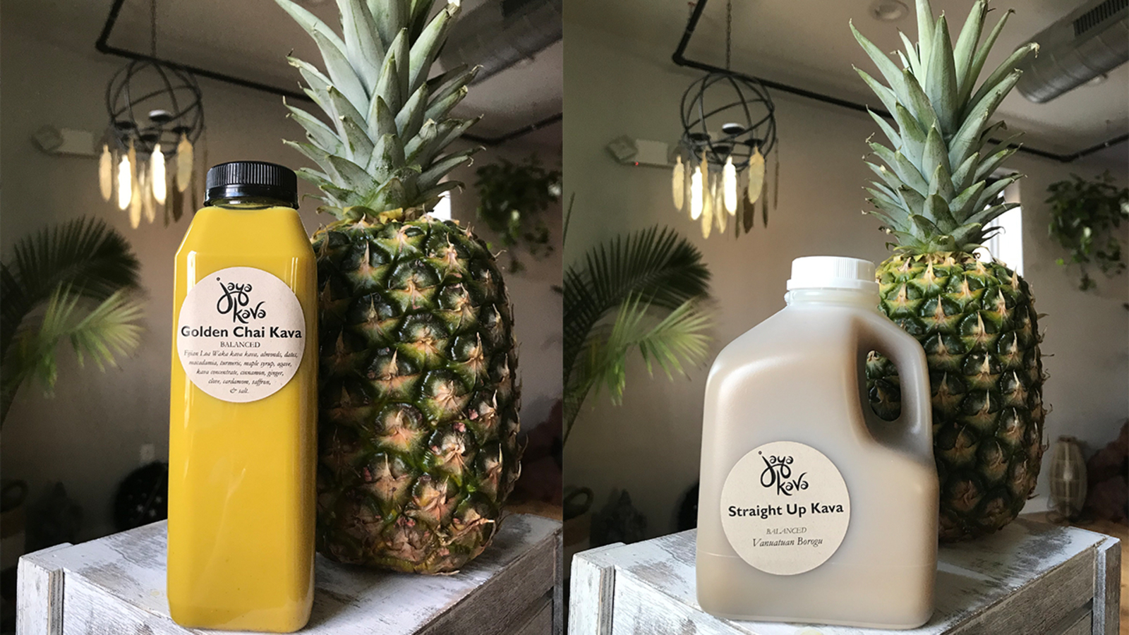 Jaya Kava at South Philadelphia's Lightbox Cafe is a vegan cafe that's