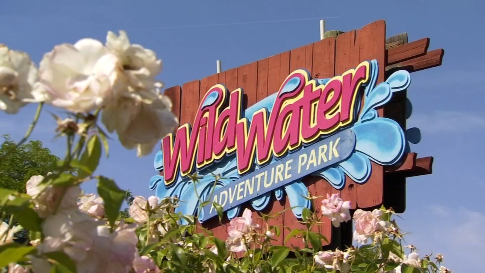 Wild Water Adventure Park letting public pick name for new ride ABC30