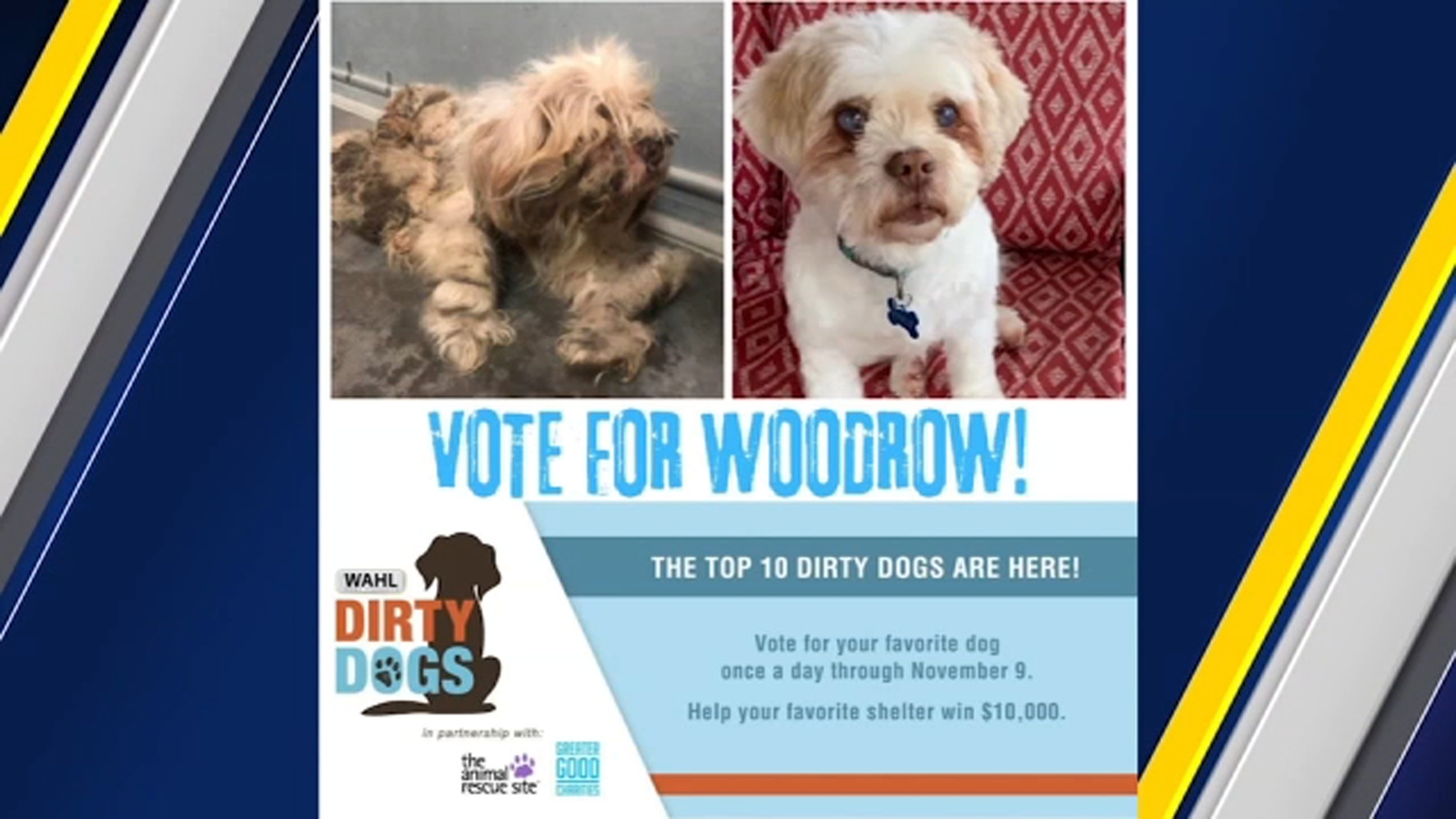Dirty Dog Contest Saving Grace rescue needs help winning 10,000 grant