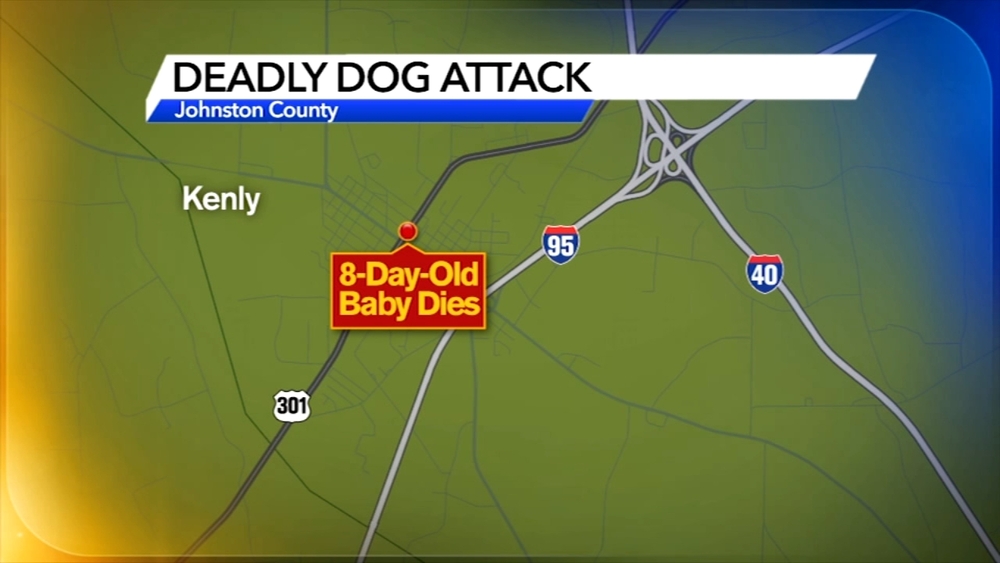 Newborn killed in dog attack in Kenly