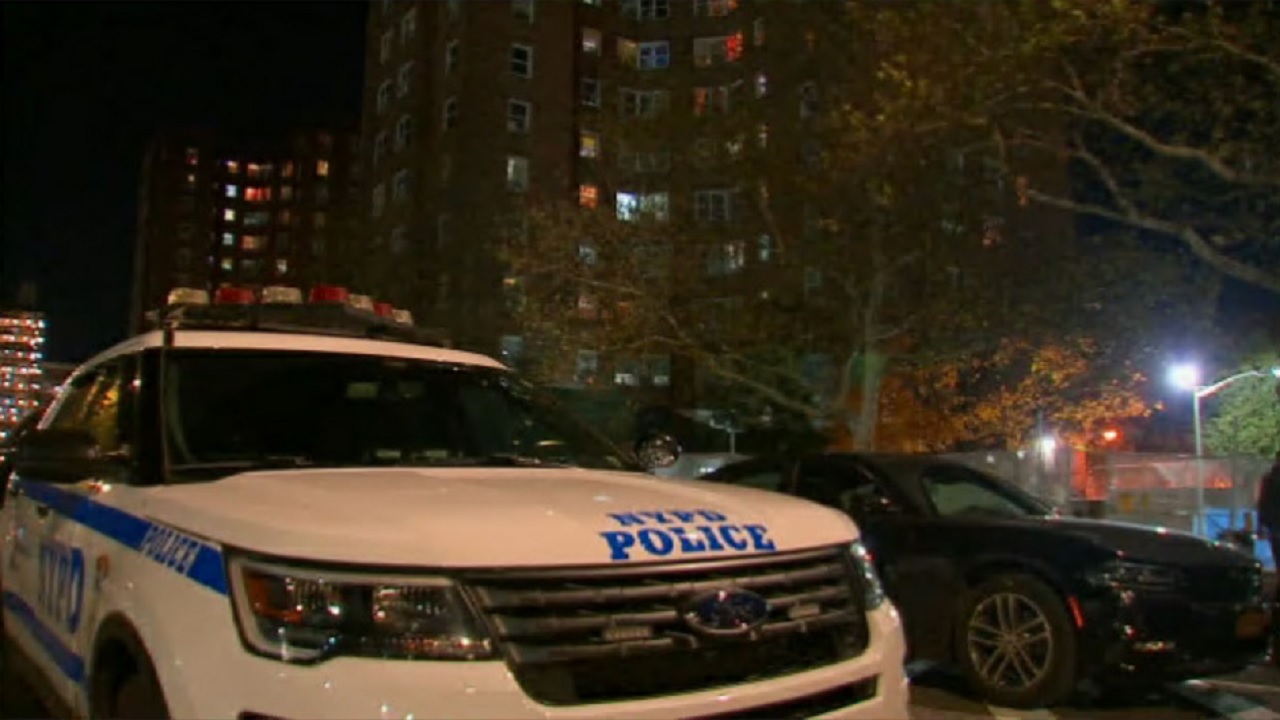 2-year-old hospitalized after falling out window in the Bronx
