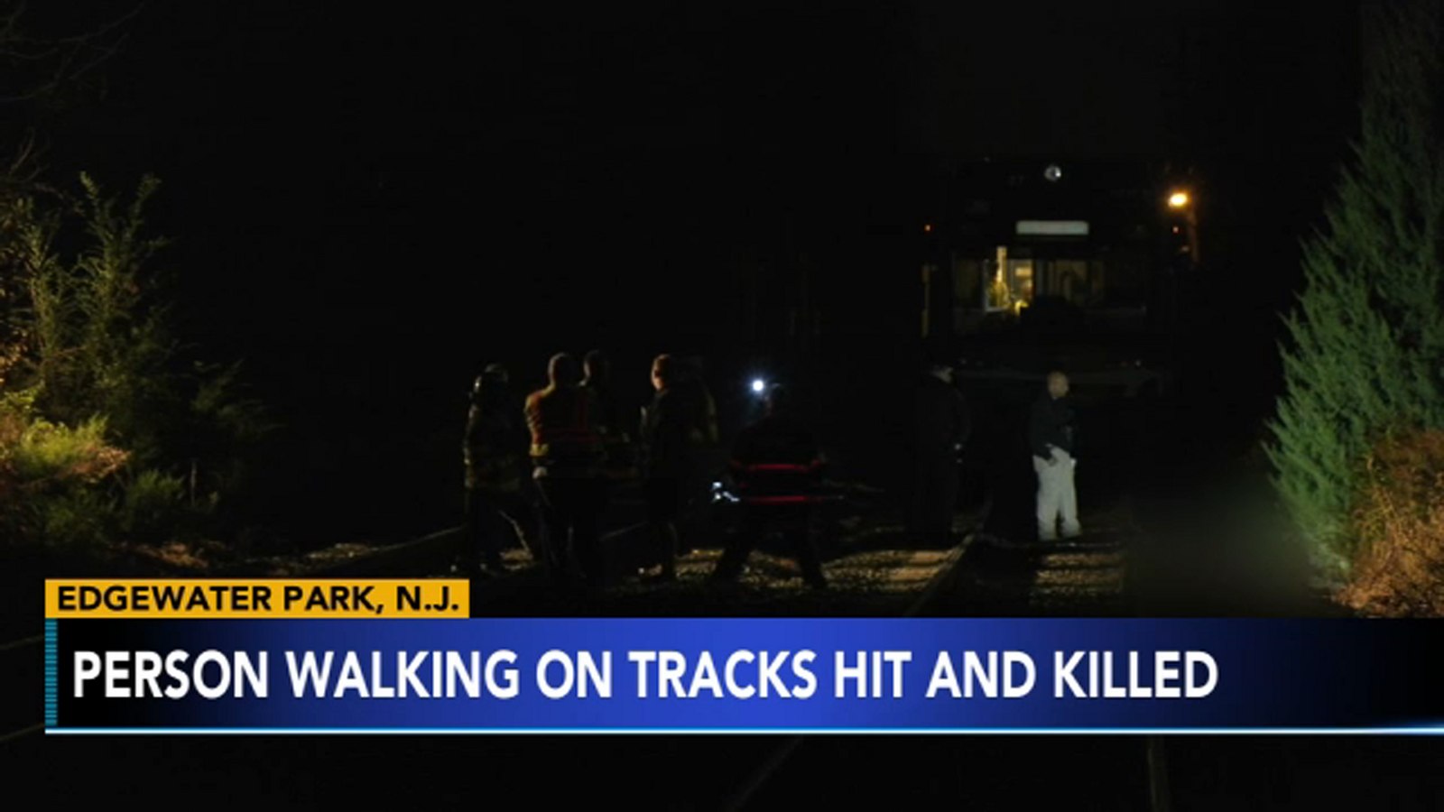 Police are investigating a fatal crash involving a train and pedestrian