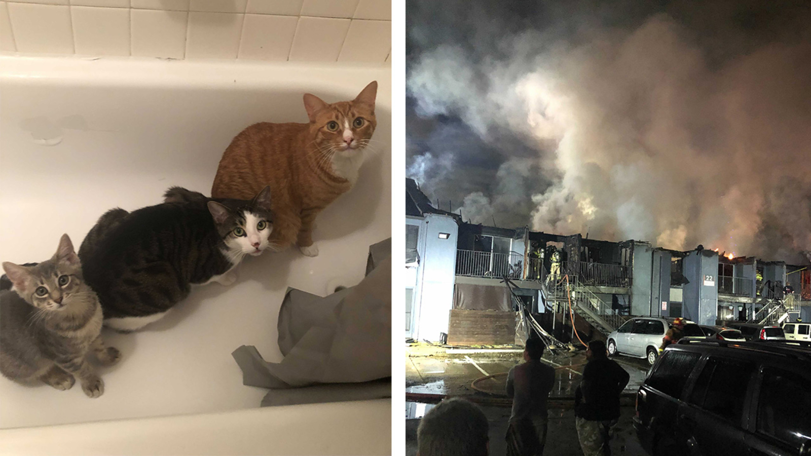 Pasadena ISD teacher loses everything, including 3 cats, in Ashmore