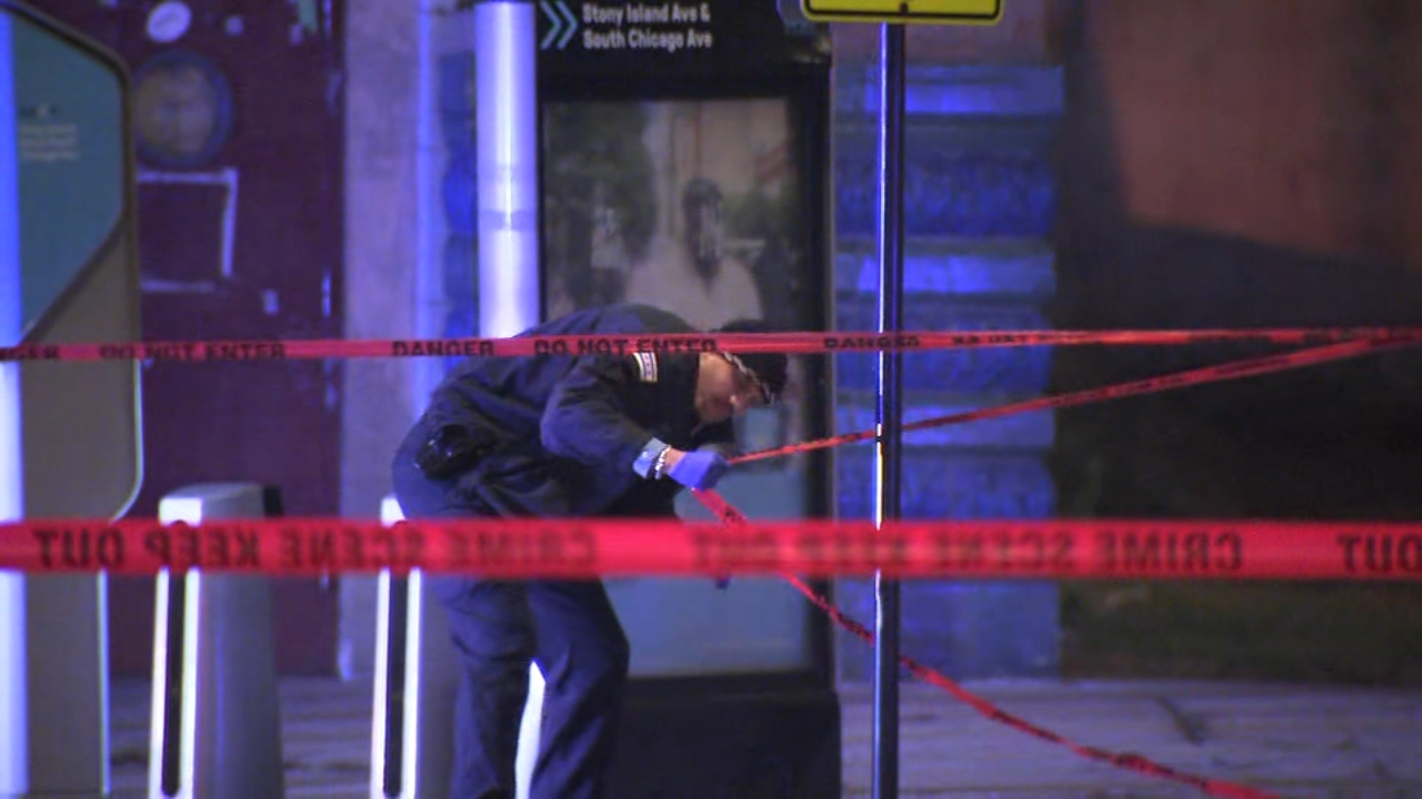 Pedestrian killed in South Chicago hit-and-run crash: CPD