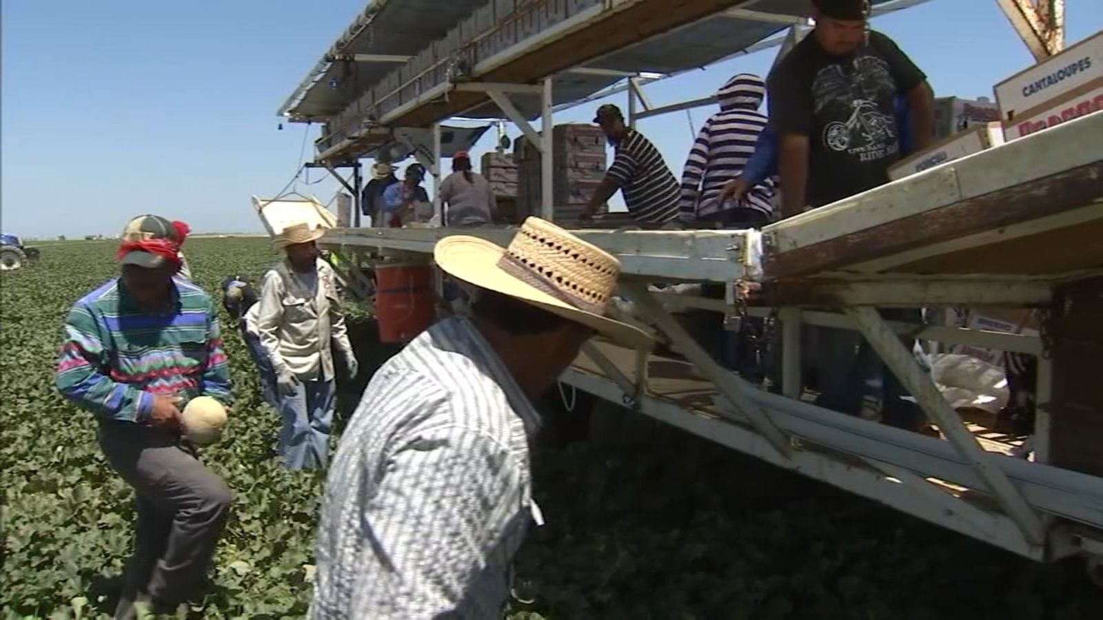 Fresno County's agriculture production remains at the top, report shows