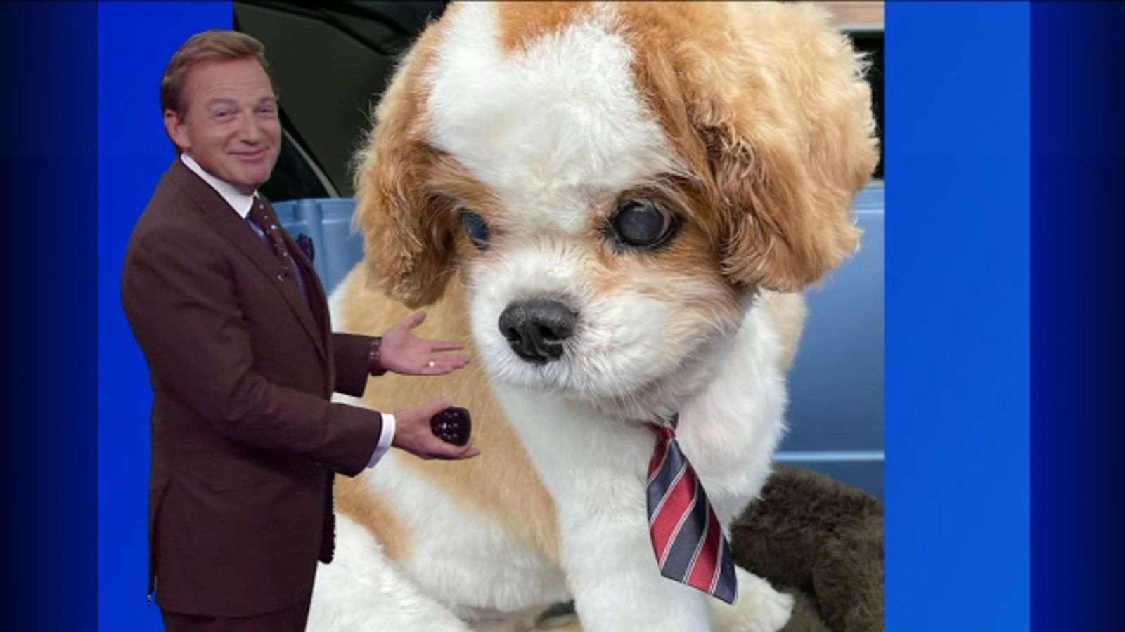 Lee Goldberg says farewell to his beloved dog Fenway ABC7 New York