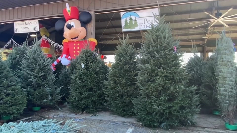Raleigh Nc When Will My Christmas Tree Be Picked Up 2022 Christmas Tree Farmers 'Slammed' With Business Ahead Of Thanksgiving -  Abc11 Raleigh-Durham