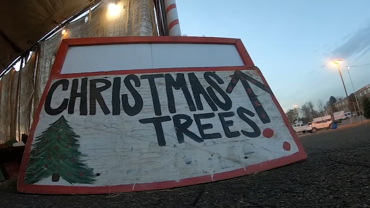 Here's why you should get your Christmas tree early this year