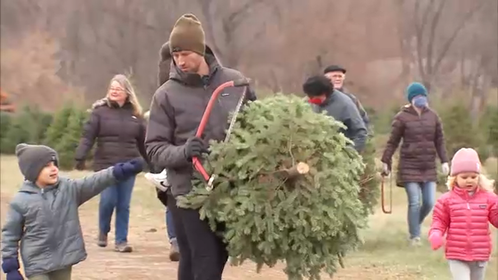 Despite Illinois Christmas tree shortage, hundreds keep post