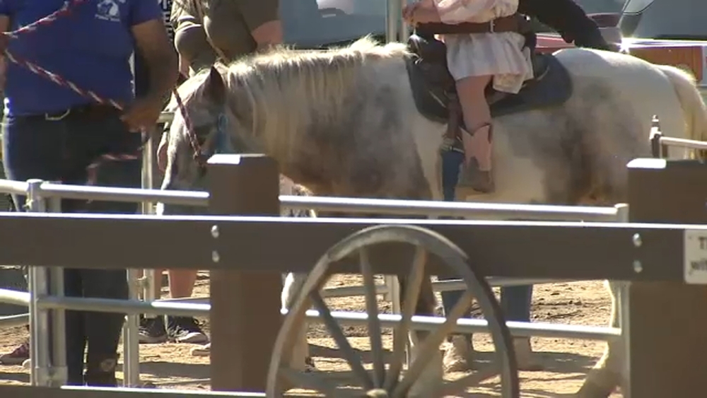 Group claims Griffith Park pony rides are breaking animal welfare laws