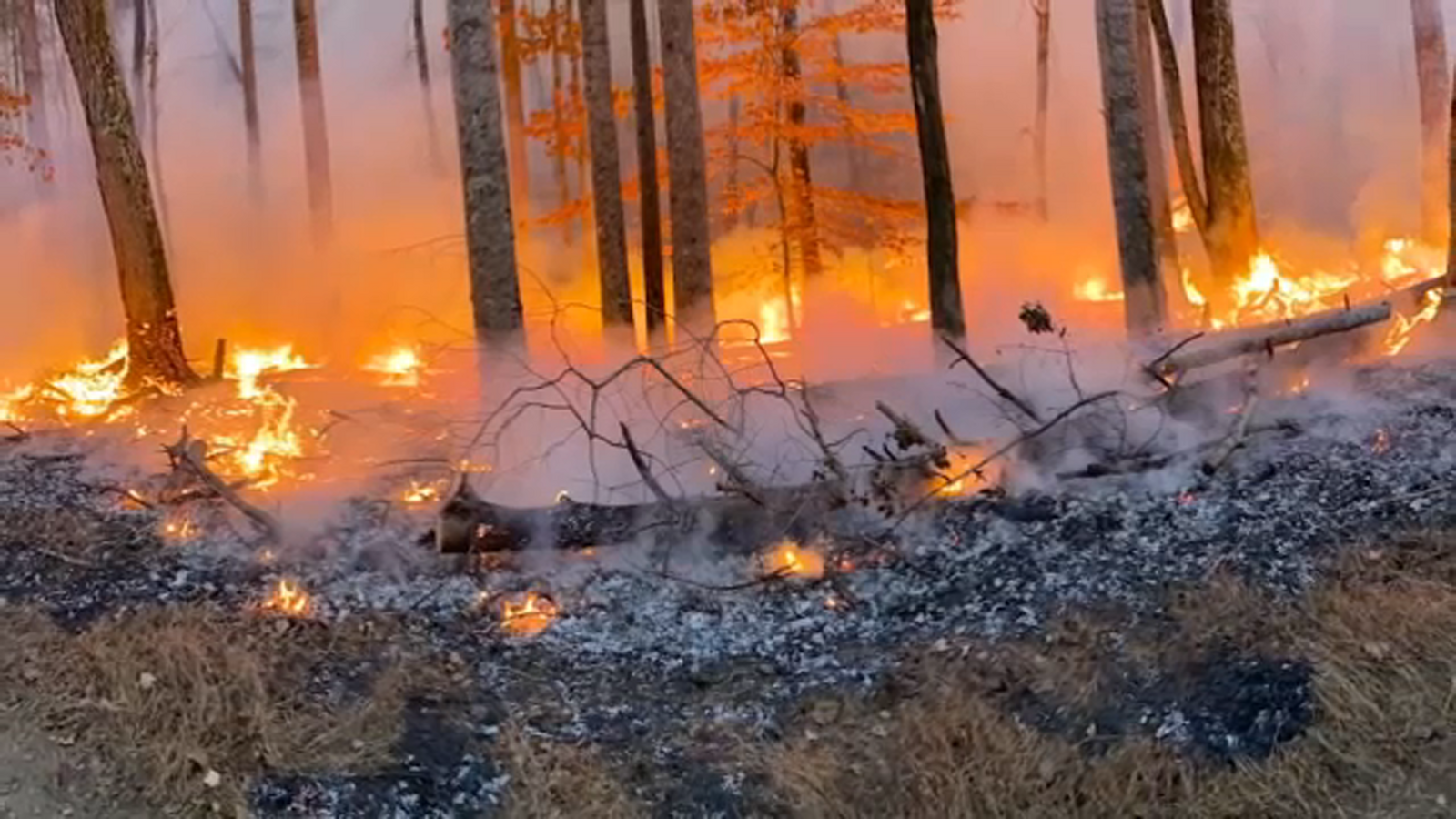 Cause of Pilot Mountain wildfire discovered ABC11 RaleighDurham