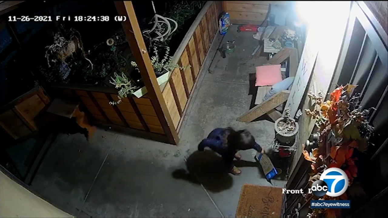 Shocking video shows small child stealing package from Fresno doorstep