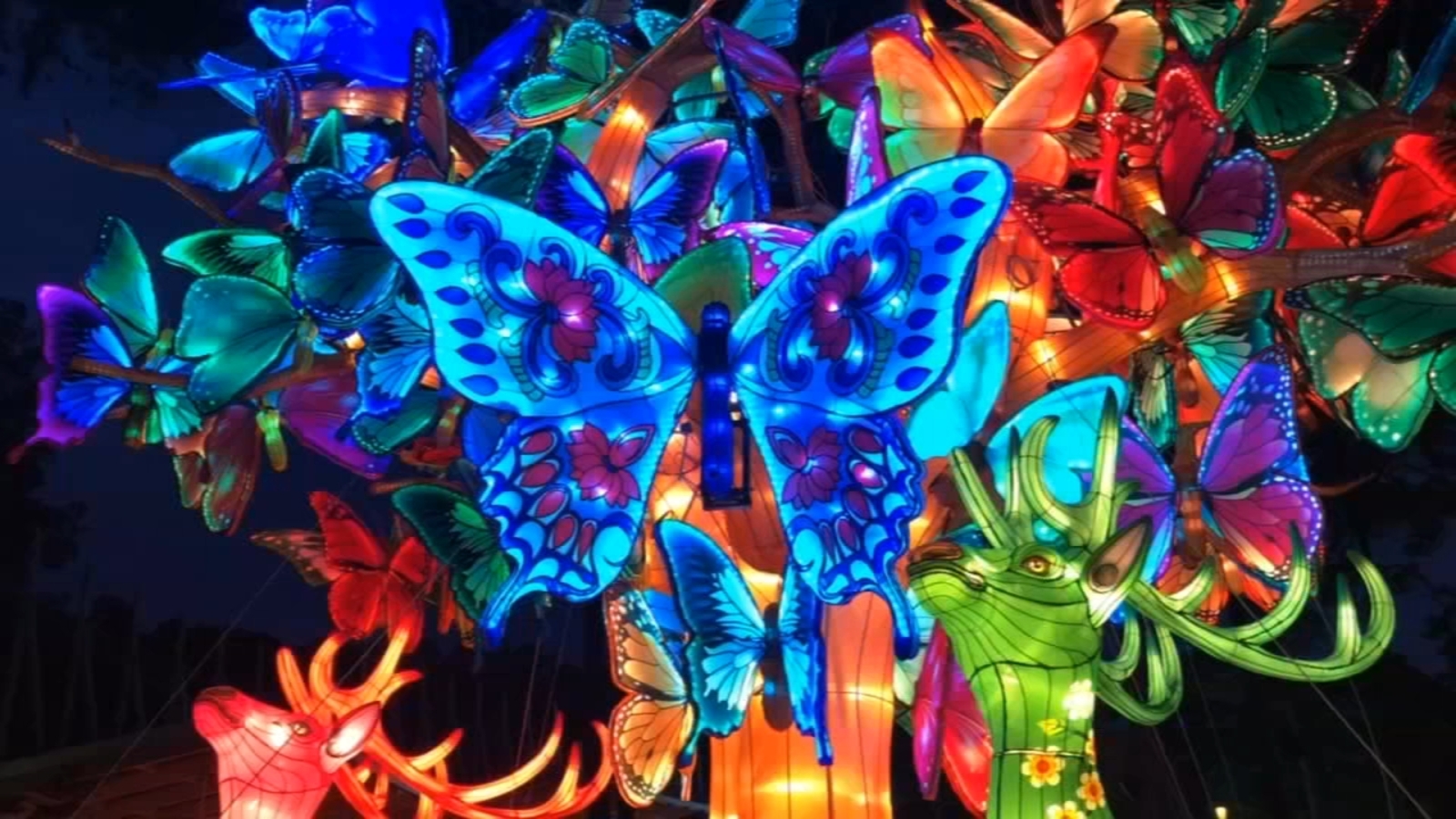 North Carolina Chinese Lantern Festival In Cary At The Koka Booth north-carolina-chinese-lantern-festival-in-cary-at-the-koka-booth