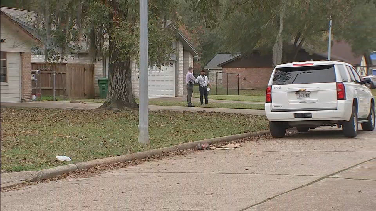 Human remains found in front of NE Houston home
