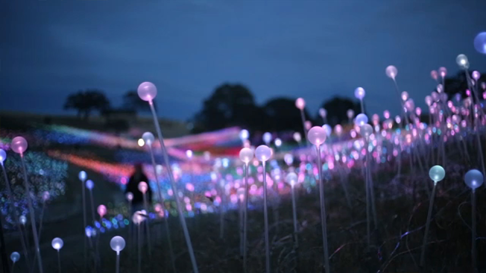 'Field of Lights' display in Paso Robles to permanent attraction