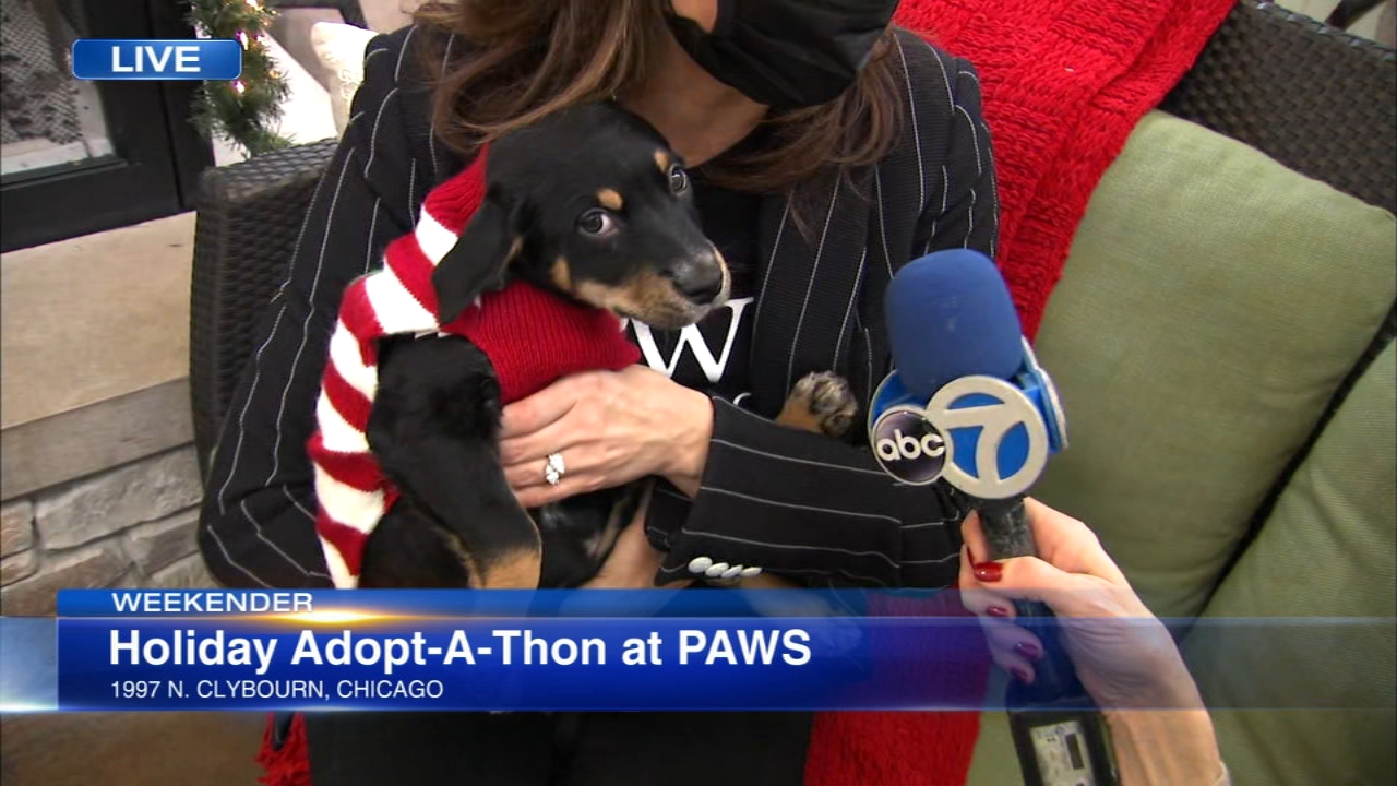 Roz Varonu0027s Weekender Report
