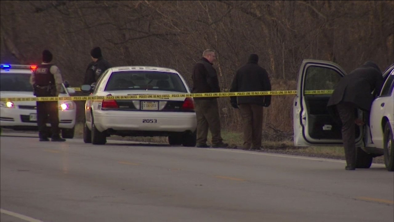 Cook County Sheriff Wants Federal Probe Into Harvey Police Abc7 Chicago