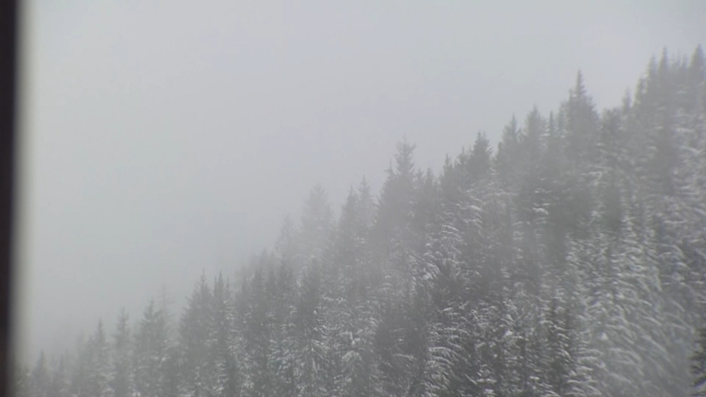 Crystal avalanche: 1 killed, 5 trapped in snow at WA state ski area