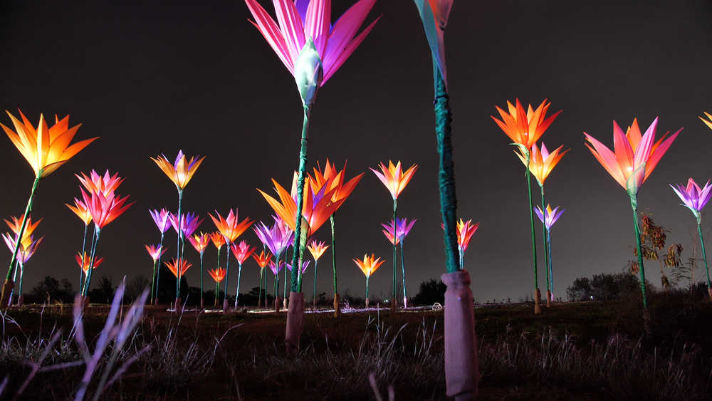 Celebrate the holidays at Houston Botanic Garden's "Lightscape"