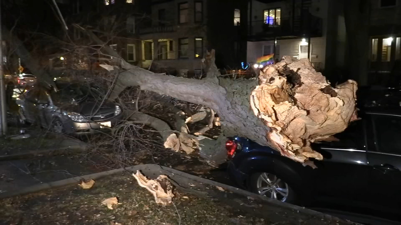 Weather warning: High winds bring damage to Chicago area