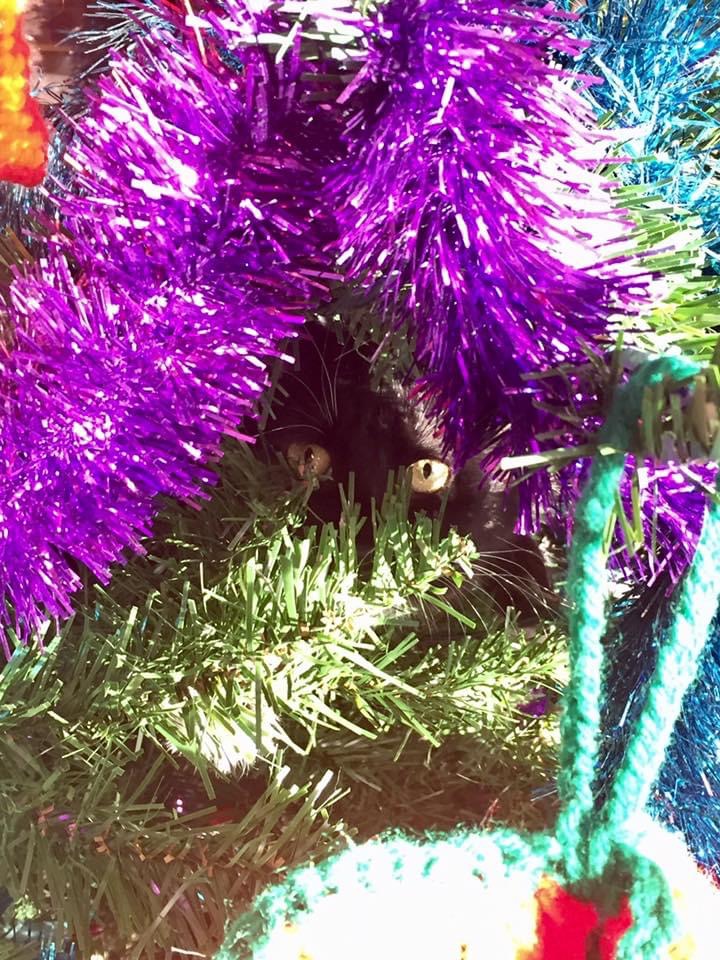 Getting ready for the holidays show us your decorations and festive