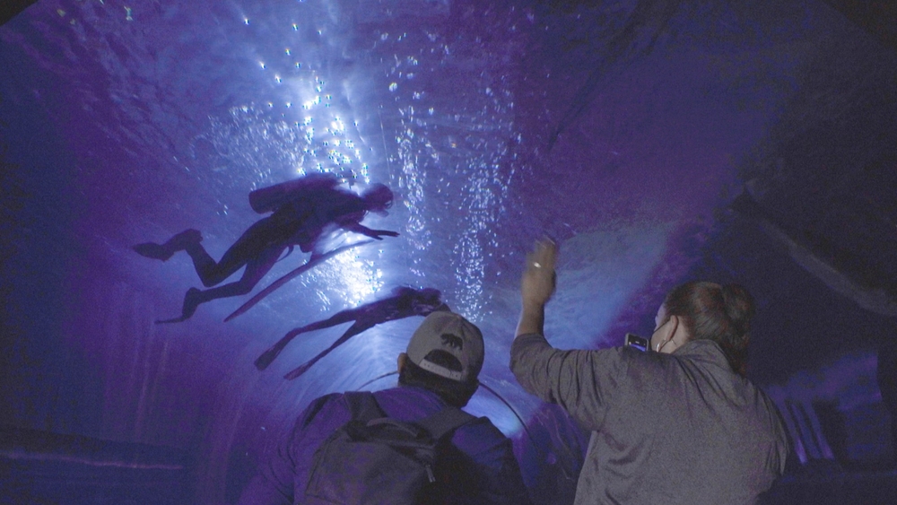 Aquarium of the Bay turns 25