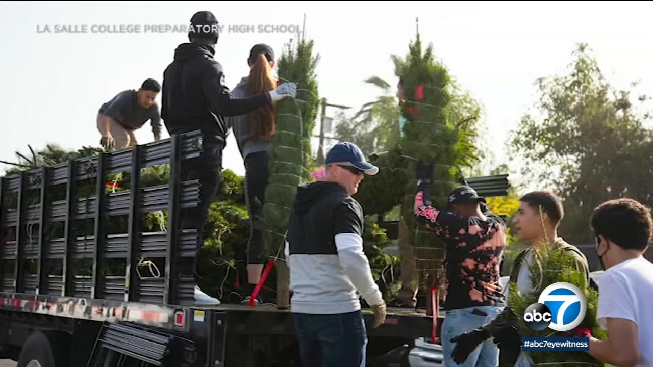 The gift of a Christmas tree makes big impact during holidays