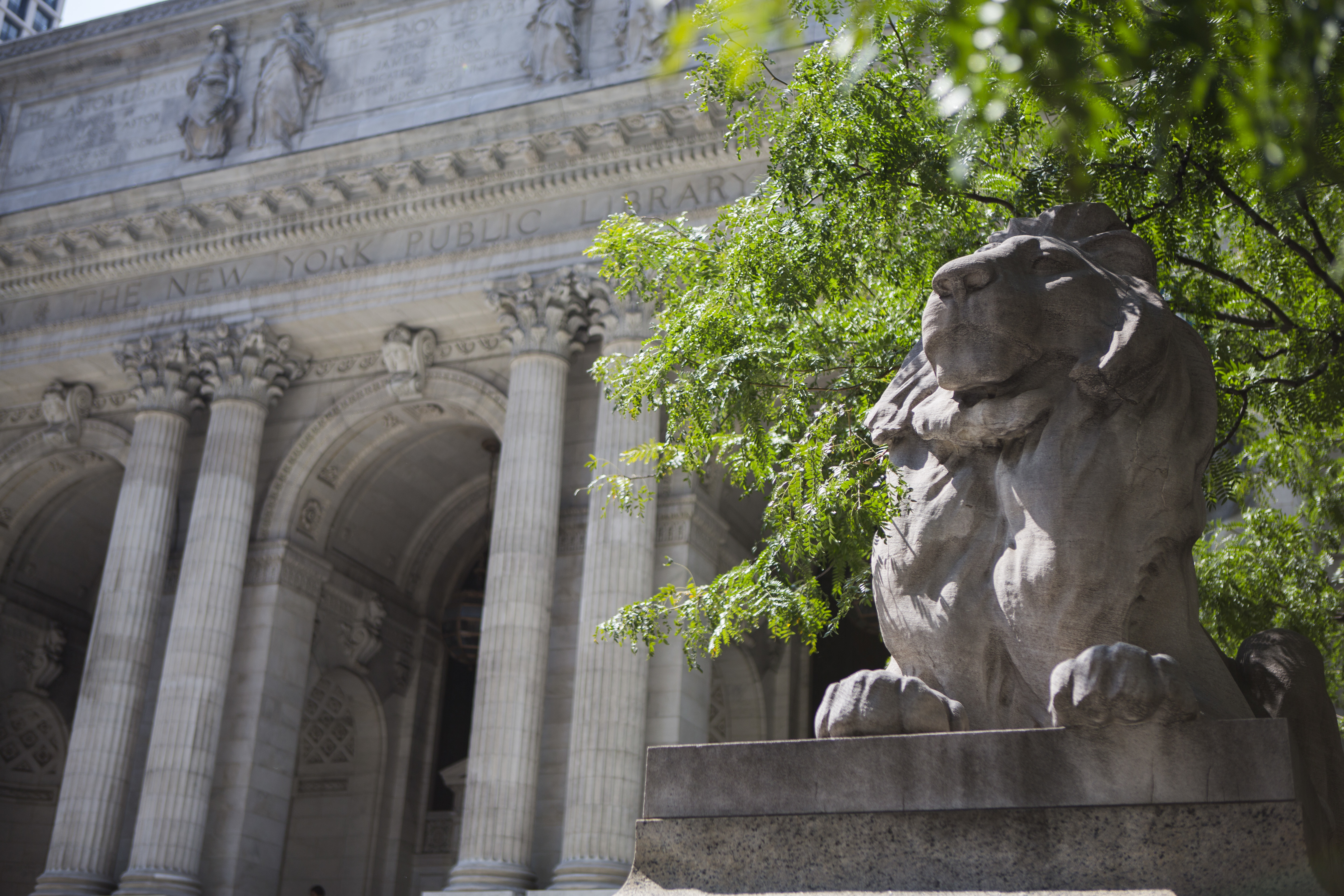 NYC public libraries to offer vaccines for children ages 5 to 11