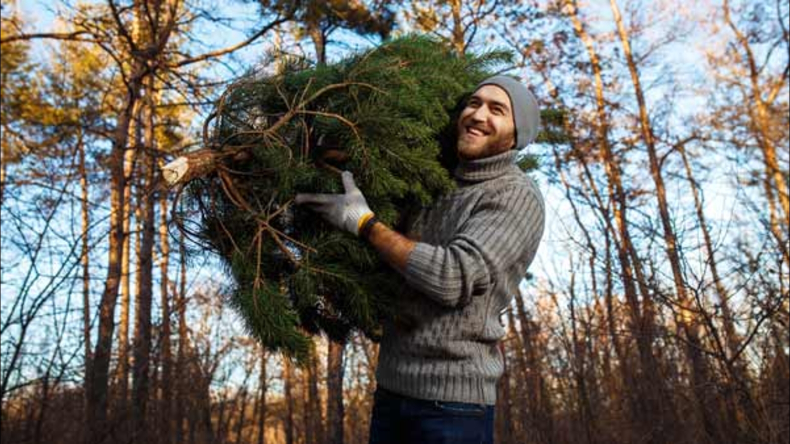 Philadelphia Streets Department announces Christmas tree recycling