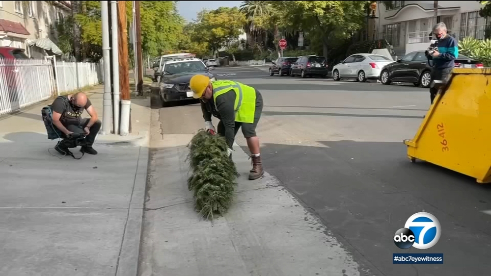 How to recycle your Christmas tree if you live in LA