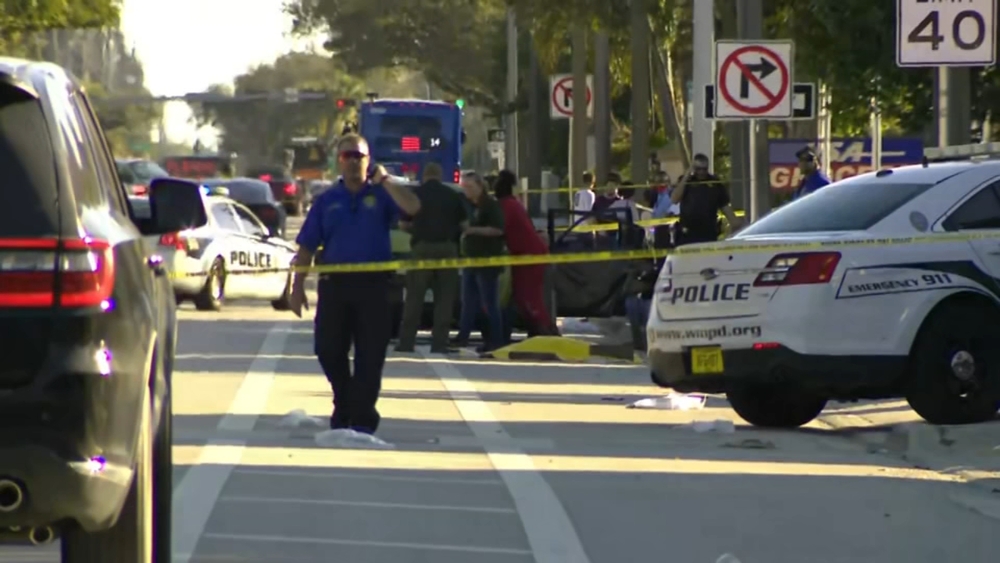 Hit-and-run vehicle hits 6 children in Florida, killing 2
