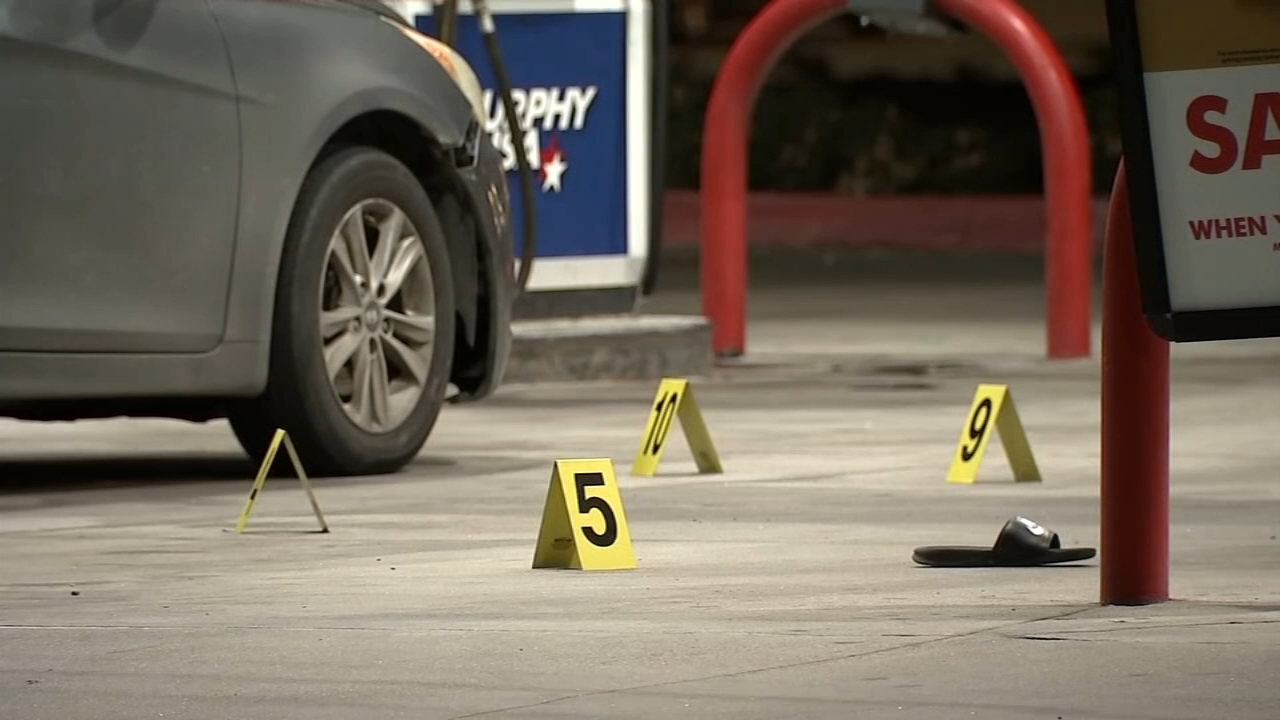 Man shot and killed during meetup to return stolen dogs at gas station, deputies say