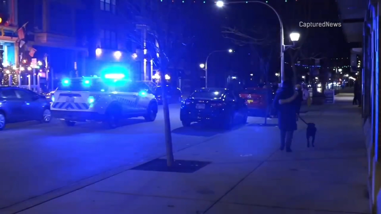 Woman beaten, robbed by 8 people on Lakeview sidewalk