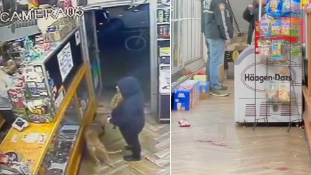 Woman and dog fatally shot in NYC smoke shop